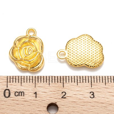 Tibetan Style Alloy Pendants K0NTA011-1