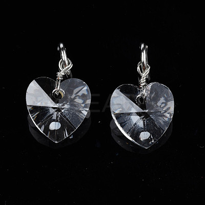 Faceted Transparent Glass Charms GLAA-T024-04L-1