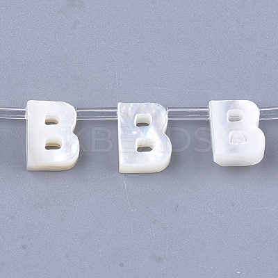 Natural Sea Shell Beads SHEL-T012-60B-1