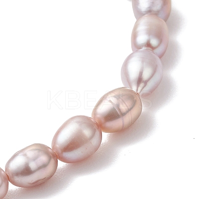 Natural Cultured Freshwater Pearl Beads Stretch Bracelets for Women BJEW-JB13210-02-1