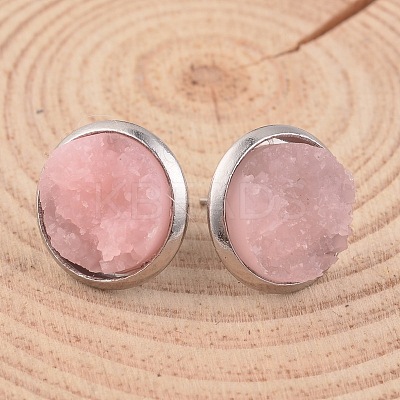 Flat Round 304 Stainless Steel Druzy Resin Ear Studs EJEW-JE01964-1