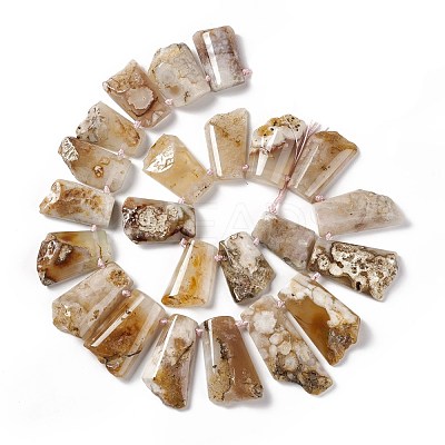 Natural Cherry Blossom Agate Beads Strands G-F719-12-1