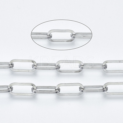 Tarnish Resistant 304 Stainless Steel Paperclip Chains CHS-S001-04A-P-1