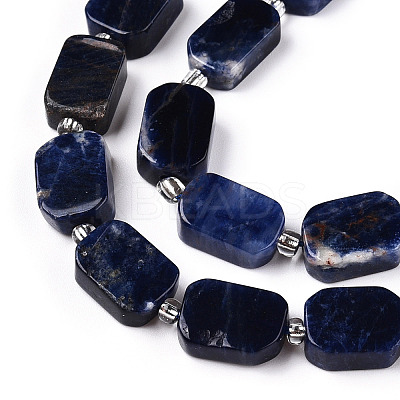 Natural Sodalite Beads Strands G-T138-09-1