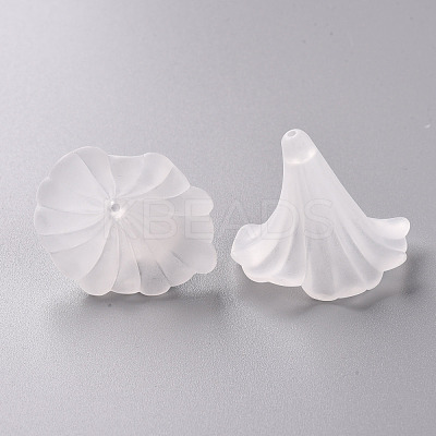 Transparent Acrylic Beads BSF796-1