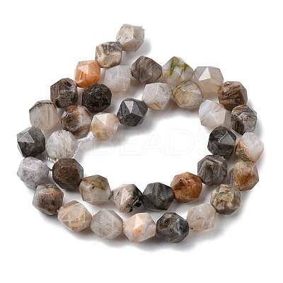 Natural Bamboo Leaf Agate Beads Strands G-Z119-A27-03-1