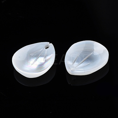 Natural Freshwater Shell Pendants SHEL-S278-044-1