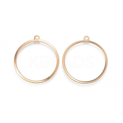 201 Stainless Steel Pendants STAS-F192-023G-1