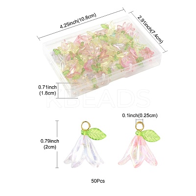 50Pcs Transparent Acrylic Pendants PALLOY-FS00043-04-1