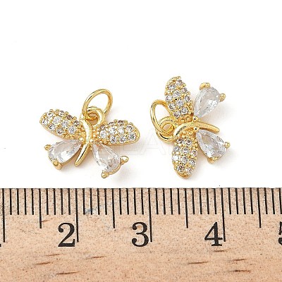 Brass Micro Pave Cubic Zirconia Charms KK-L243-06G-01-1