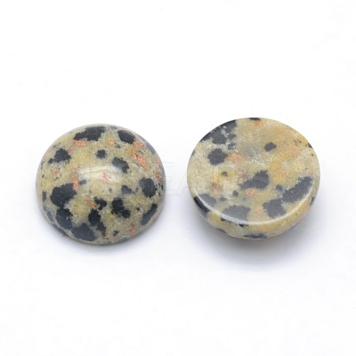 Natural Dalmatian Jasper Cabochons G-P393-R33-10MM-1