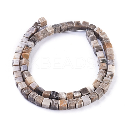 Natural Fossil Coral Beads Strands G-D0020-13A-1