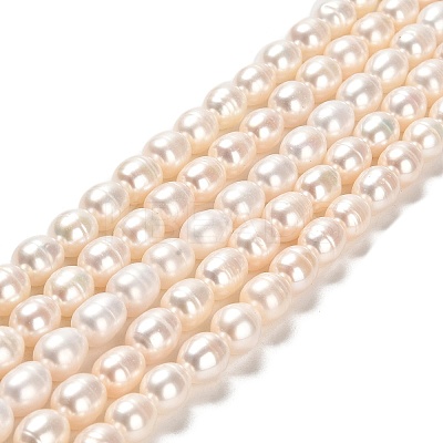 Natural Cultured Freshwater Pearl Beads Strands PEAR-E016-196-1