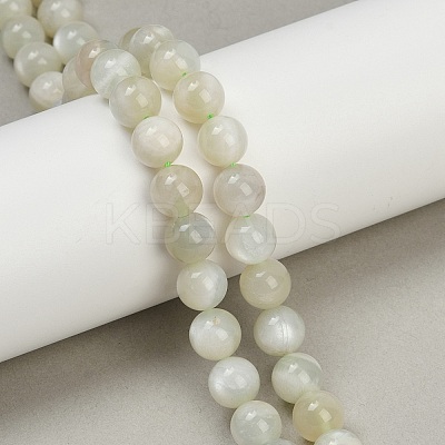 Natural Green Moonstone Beads Strands LS-G-NH0060-A01-02-1