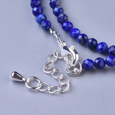 Natural Lapis Lazuli Beaded Necklaces NJEW-K114-B-A06-1