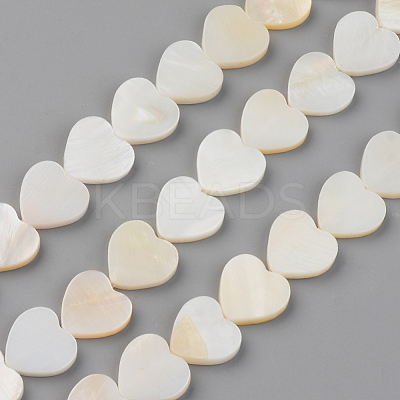 Natural Freshwater Shell Beads Strands X-SHEL-S276-87-1