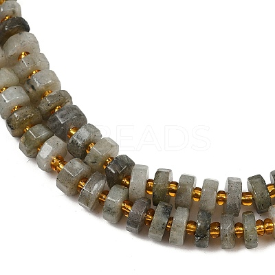 Natural Labradorite Beads Strands G-F796-A05-01-1