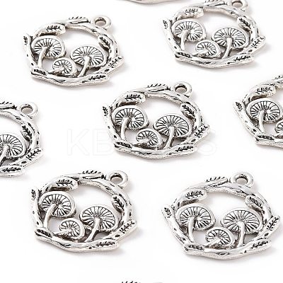 Tibetan Style Alloy Pendants PALLOY-R134-09B-RS-1