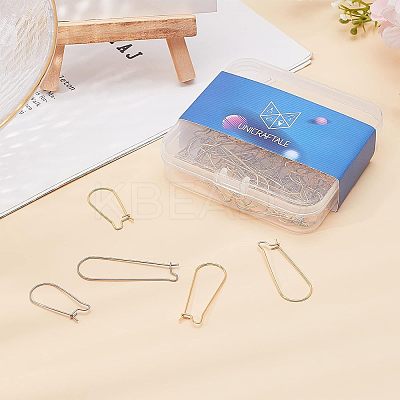 304 Stainless Steel Hoop Earring Findings STAS-UN0016-77-1