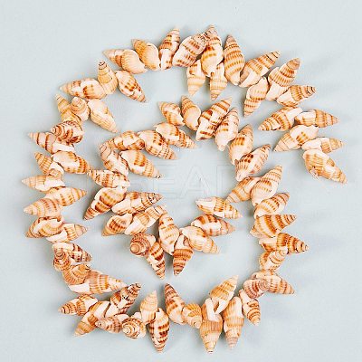 Natural Spiral Shell Beads Strands BSHE-SZ0001-03-1