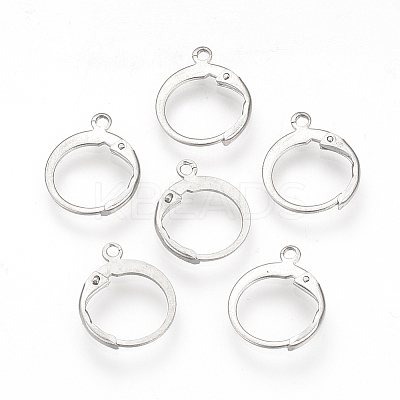 Tarnish Resistant 304 Stainless Steel Leverback Earring Findings LS-STAS-S073-01-1