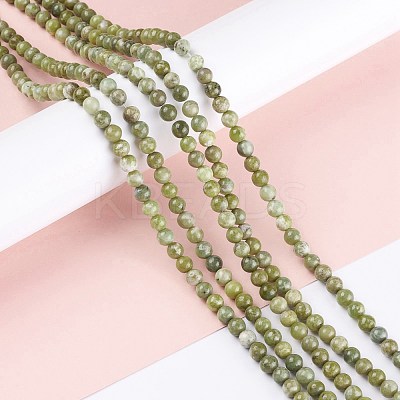 Natural Idocrase Beads Strands G-N165-7-2-1