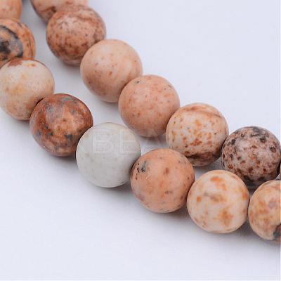 Natural Picture Jasper Beads Strands G-Q462-6mm-35-1