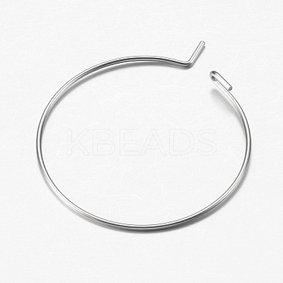 316 Surgical Stainless Steel Hoop Earrings Findings STAS-I097-050C-1