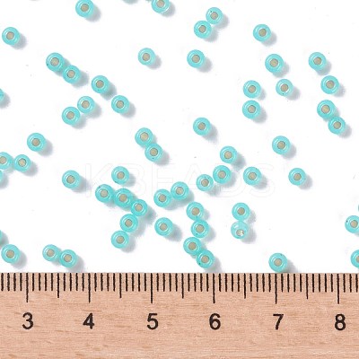 MIYUKI Round Rocailles Beads SEED-JP0009-RR0571-1