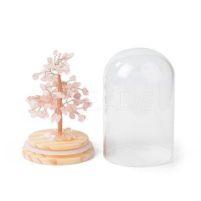 Natural Rose Quartz Chips Money Tree in Dome Glass Bell Jars with Wood Base Display Decorations DJEW-B007-04B-1