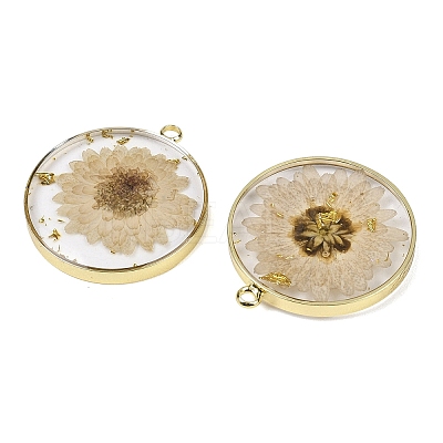 Transparent Clear Epoxy Resin Pendants RESI-XCP0002-33-1