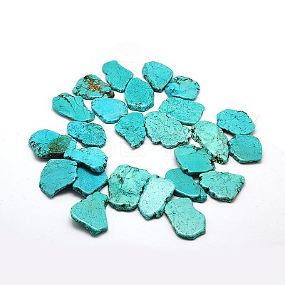 Nuggets Natural Magnesite Beads Strands G-N0132-27-1