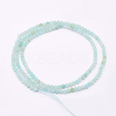 Natural Amazonite Beads Strands G-F509-25-2mm-1