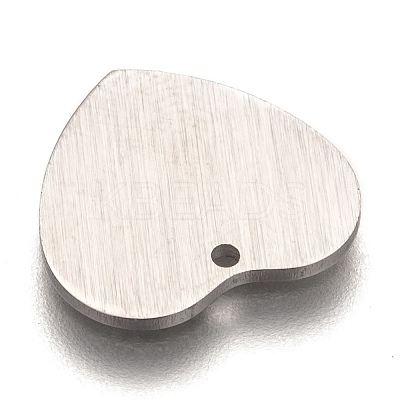 Tarnish Resistant 304 Stainless Steel Pendants STAS-O133-02C-P-1