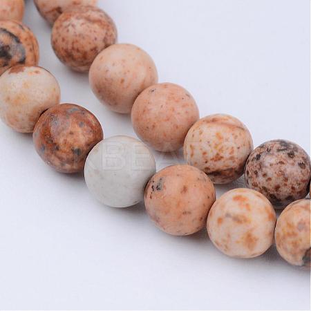 Natural Picture Jasper Beads Strands G-Q462-4mm-35-1