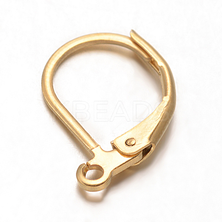Ion Plating(IP) 304 Stainless Steel Leverback Earring Findings LS-STAS-F075-37-1