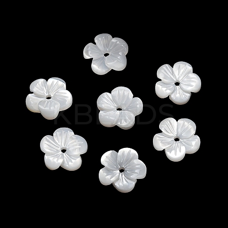 Natural White Shell Beads SH-CBA93AD-07C-1