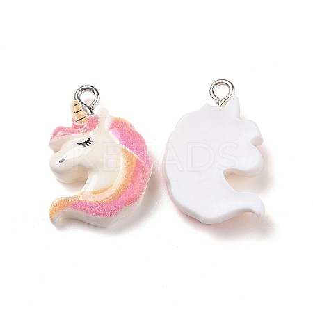 Opaque Resin Pendants LS-X-RESI-J023-12A-1