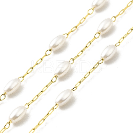 Ion Plating(IP) 316 Surgical Stainless Steel Paperclip Chains CHS-I019-11G-01-1