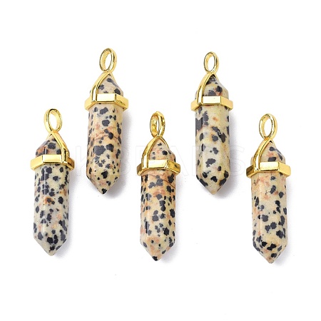 Natural Dalmatian Jasper Pointed Pendants G-G025-01G-33-1