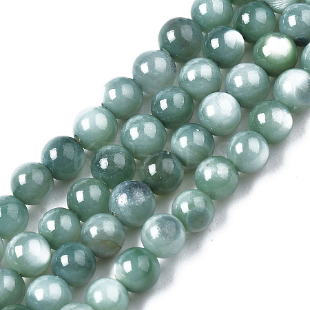 Natural Freshwater Shell Beads Strands X-BSHE-T009A-01J-1