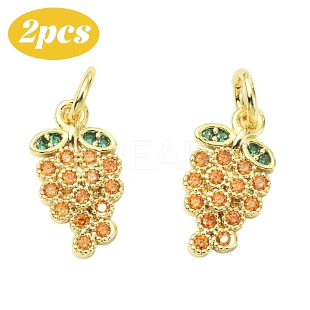 2Pcs Brass Micro Pave Cubic Zirconia Charms KK-YW0003-24A-1