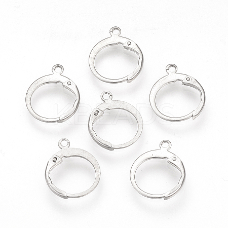Tarnish Resistant 304 Stainless Steel Leverback Earring Findings LS-STAS-S073-01-1