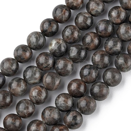 Natural Labradorite Beads Strands G-G0003-C03-12mm-1