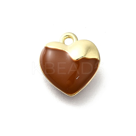Alloy Enamel Charms PALLOY-R157-03G-04-1