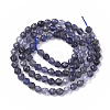 Natural Iolite Beads Strands G-S361-4mm-005-2