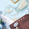 180Pcs ABS Plastic Imitation Pearl Rivet Studs KY-CL0001-02C-4