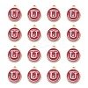 Golden Plated Alloy Enamel Charms LS-ENAM-S118-08U-2