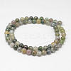 Natural Moss Agate Beads Strands G-F342-01-6mm-2