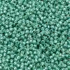 TOHO 11/0 Round Beads X-SEED-TR11-PF2119-2